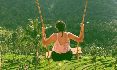 swing-at-lemukih-ricefield